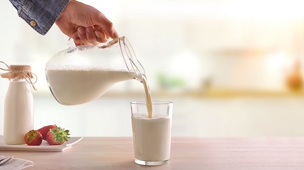 Một ly sữa tươi tốt cho kế hoạch giảm mỡ nội tạng